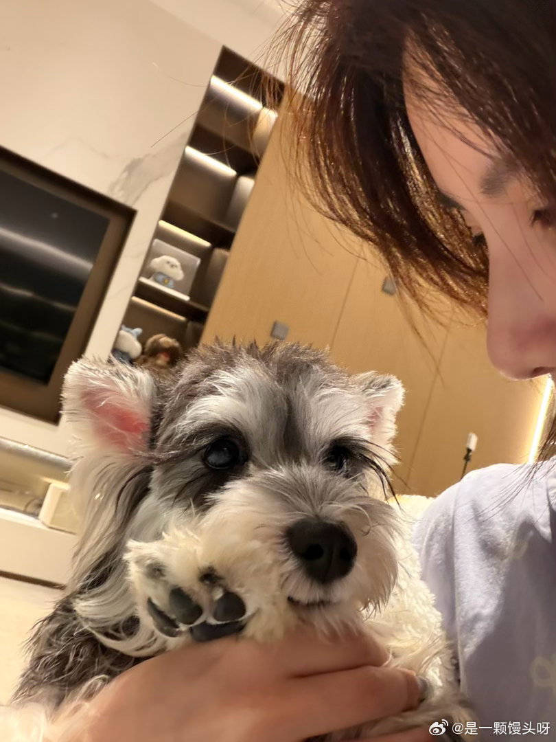 想死这俩小宝贝了 去了趟寄养 兄妹关系缓和了 都能躺一块了 ​​​
