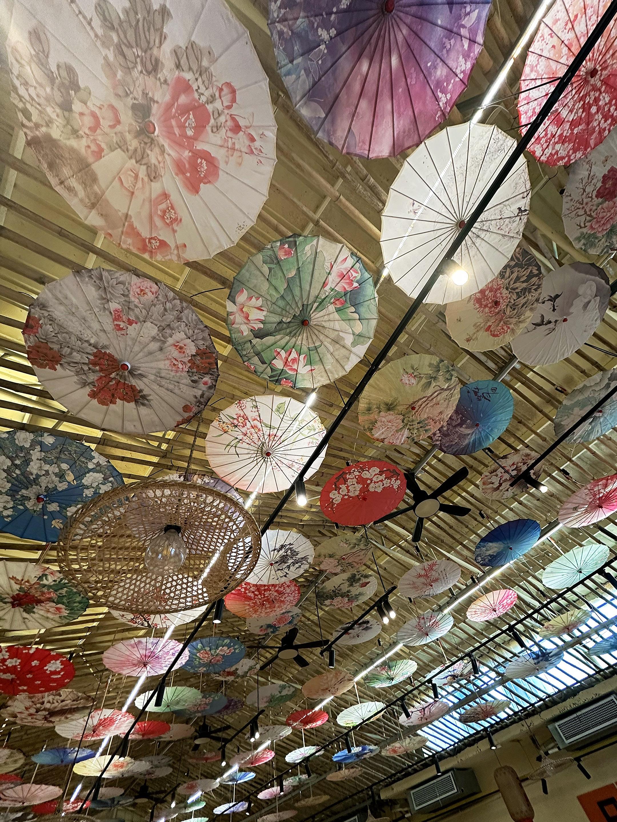 油纸伞