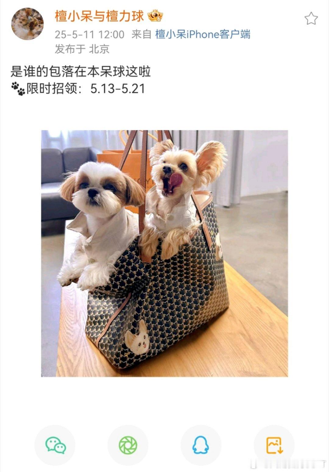 嗯哼，怎么办，怪不得咱就是说，呆球也开始养家了呢，檀健次的🐶商业价值满满嘞！ 