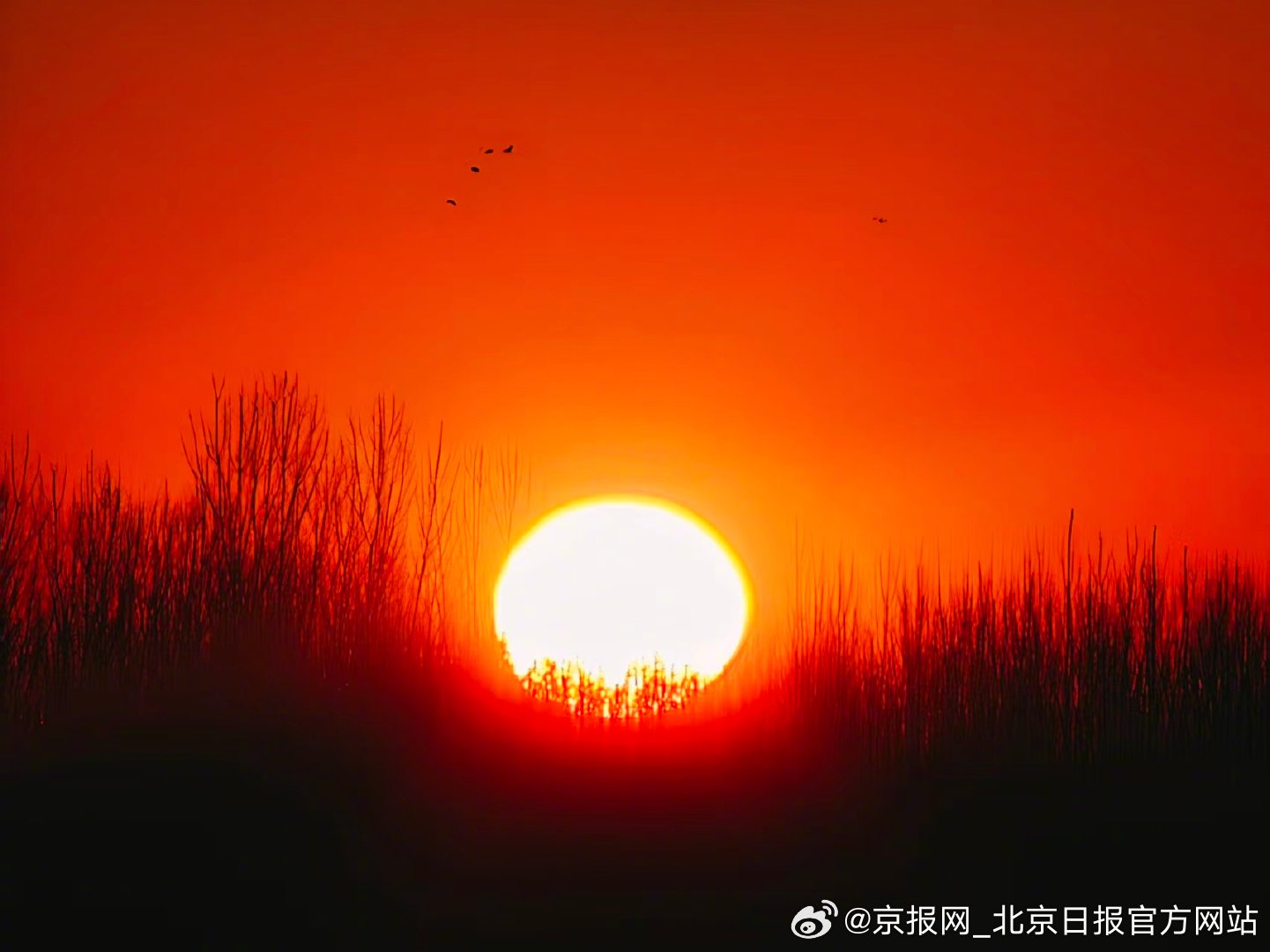 【#北京朝霞给您拜年#】#蛇年最后一次朝霞# 2月16日，除夕，乙巳蛇年的最后一