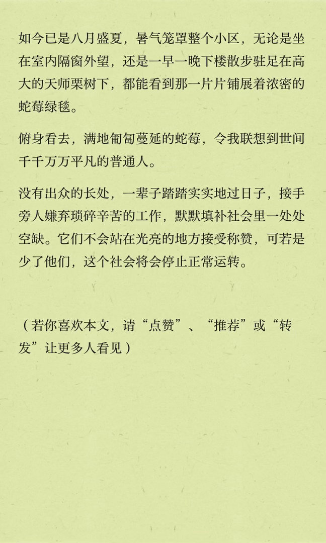 写一篇野草莓的文章，许多人可能不知道和草莓🍓有什么区别文艺风物