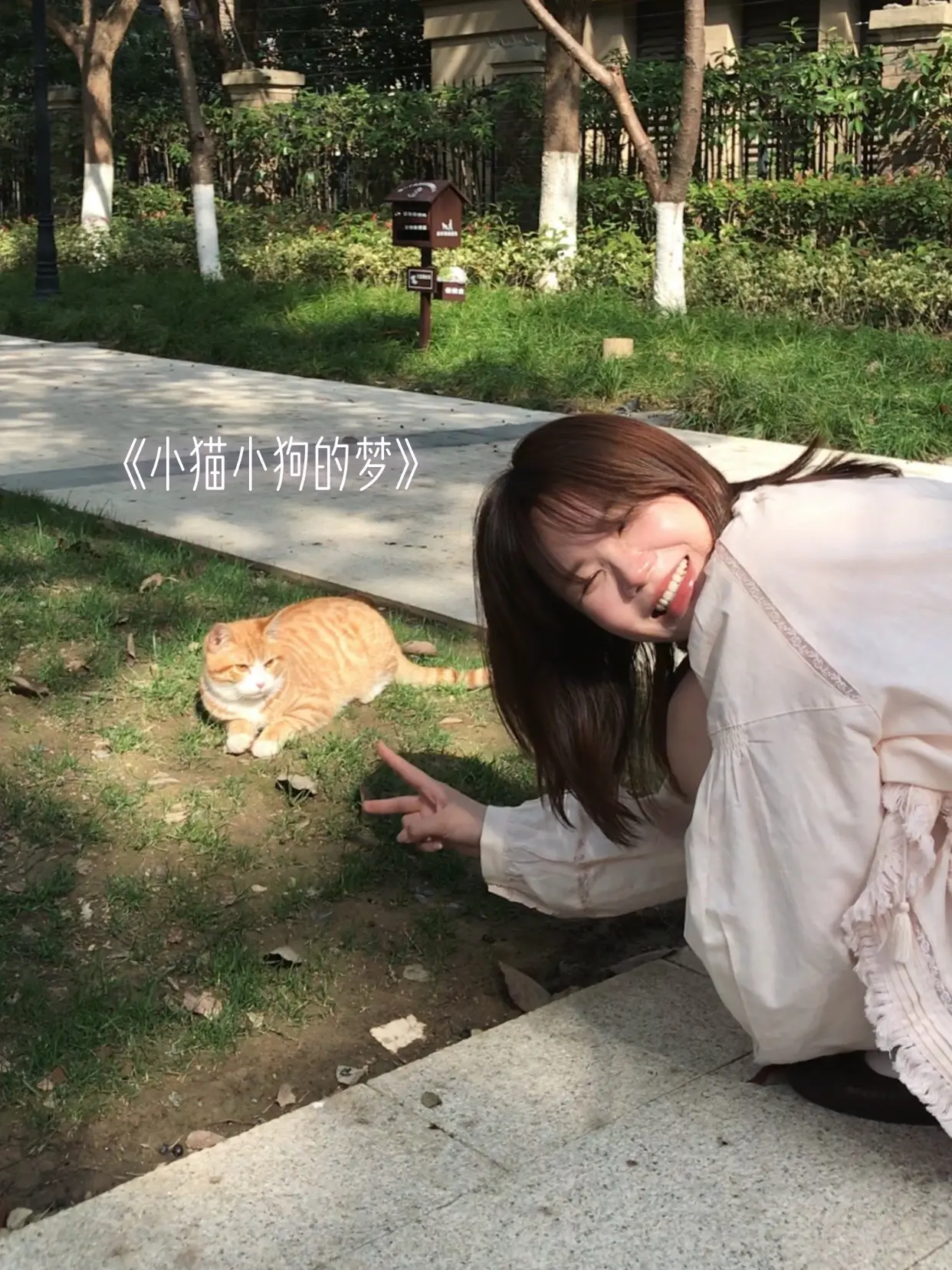 𐌔𐌕𐌀☆   .ᐟ 热气腾腾的快乐🍱