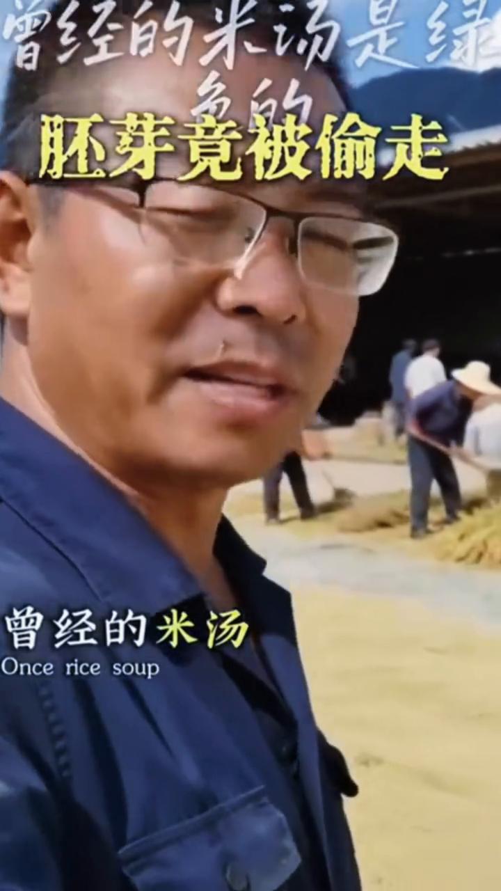 曾经的米汤是绿色的，胚芽竟被偷走。
曾经的米汤是绿色的，还有人记得吗？他们都说我