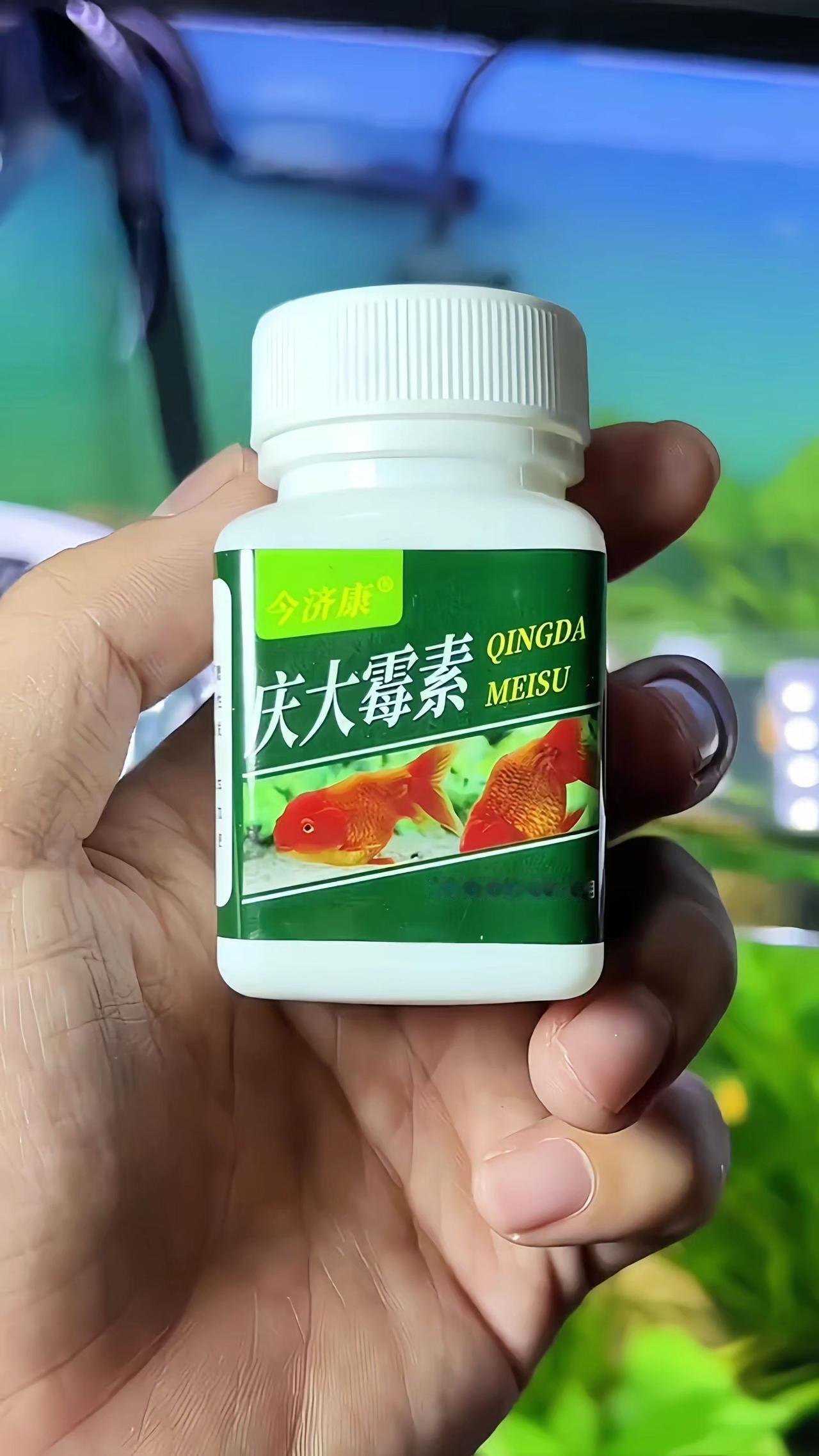 庆大霉素 养鱼日记 观赏鱼 观赏鱼交叉感染 新手养鱼