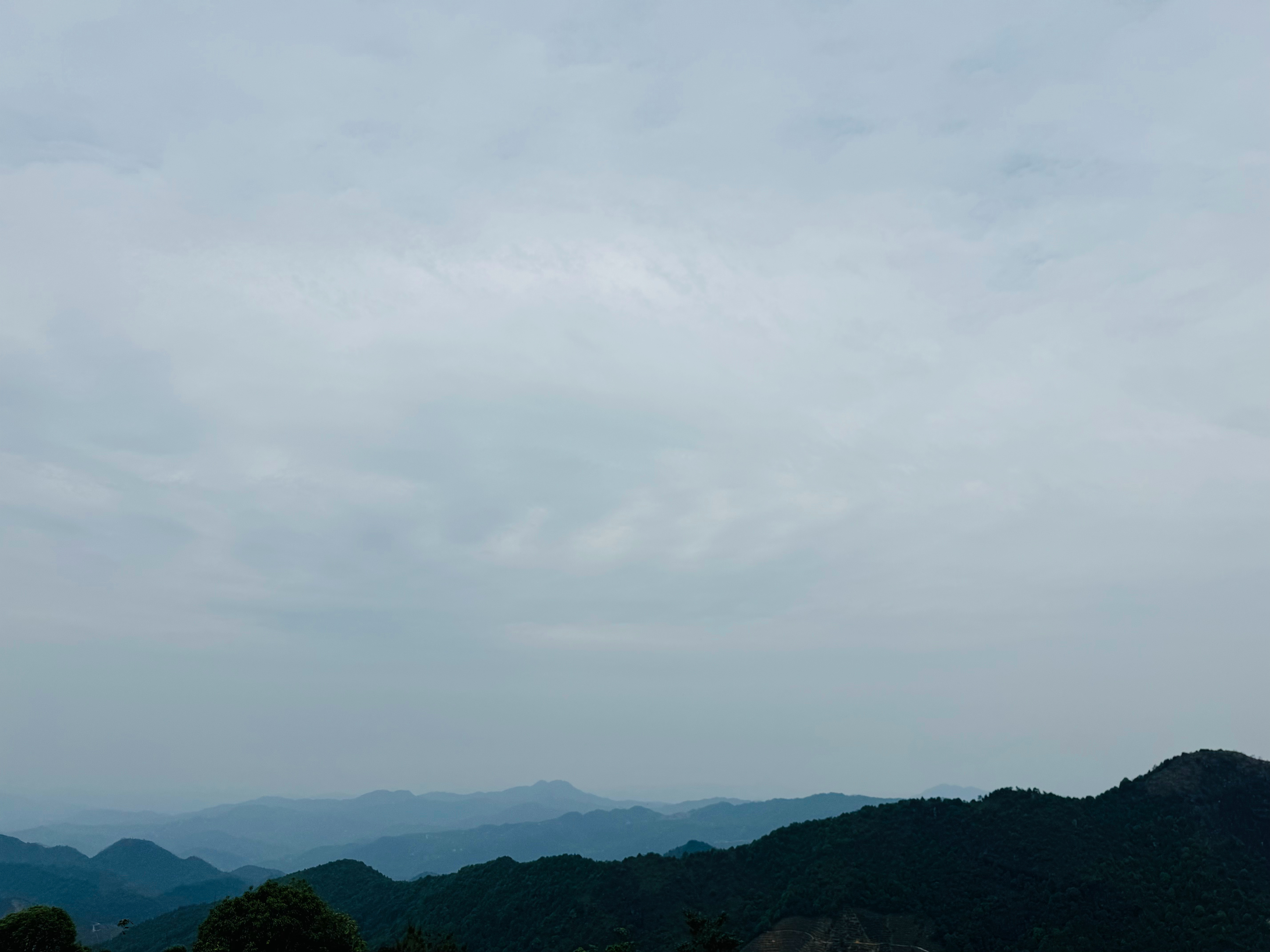 今天爬了一天山，海拔一千米左右，已经累虚脱了，今天先不猛一天[融化] ​​​