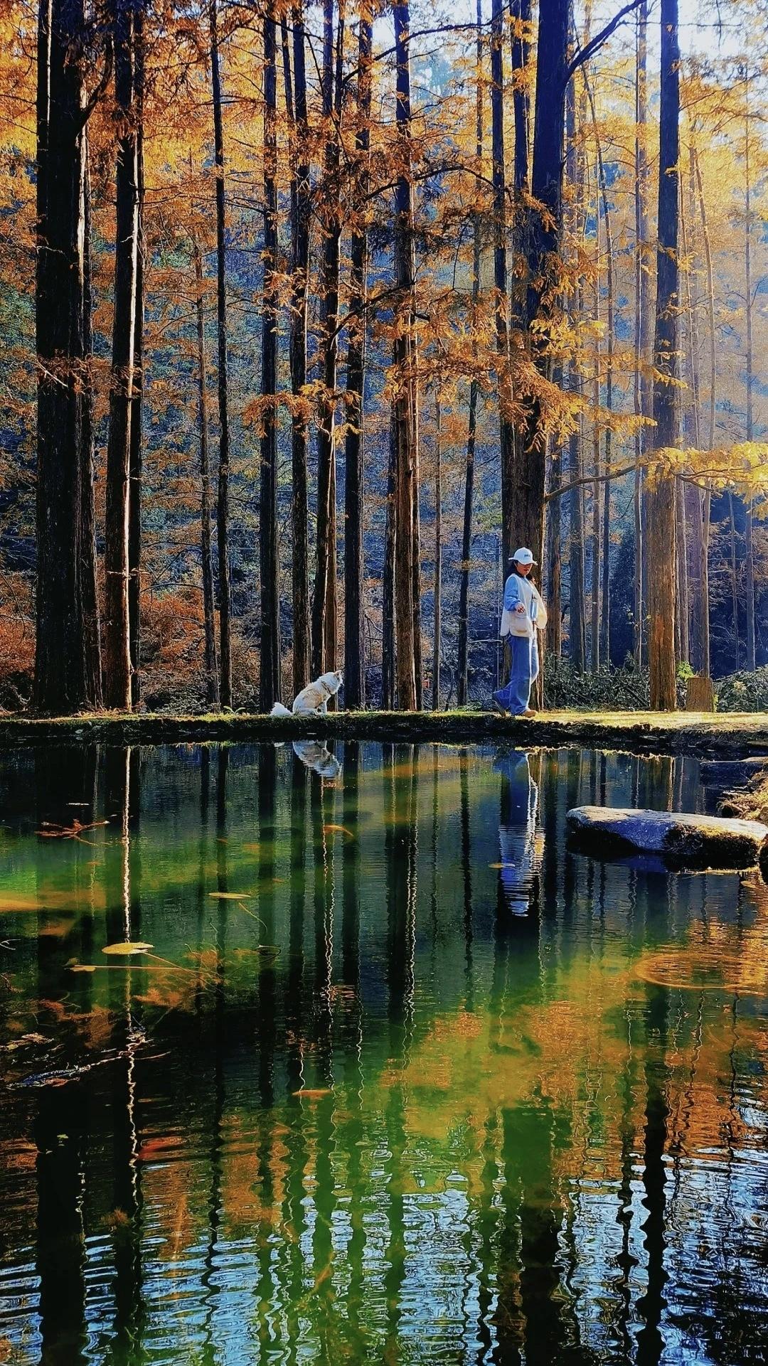 别人不把你当回事，很大原因是没给对方带来利益的希望。别人不把你当回事，有时候真就