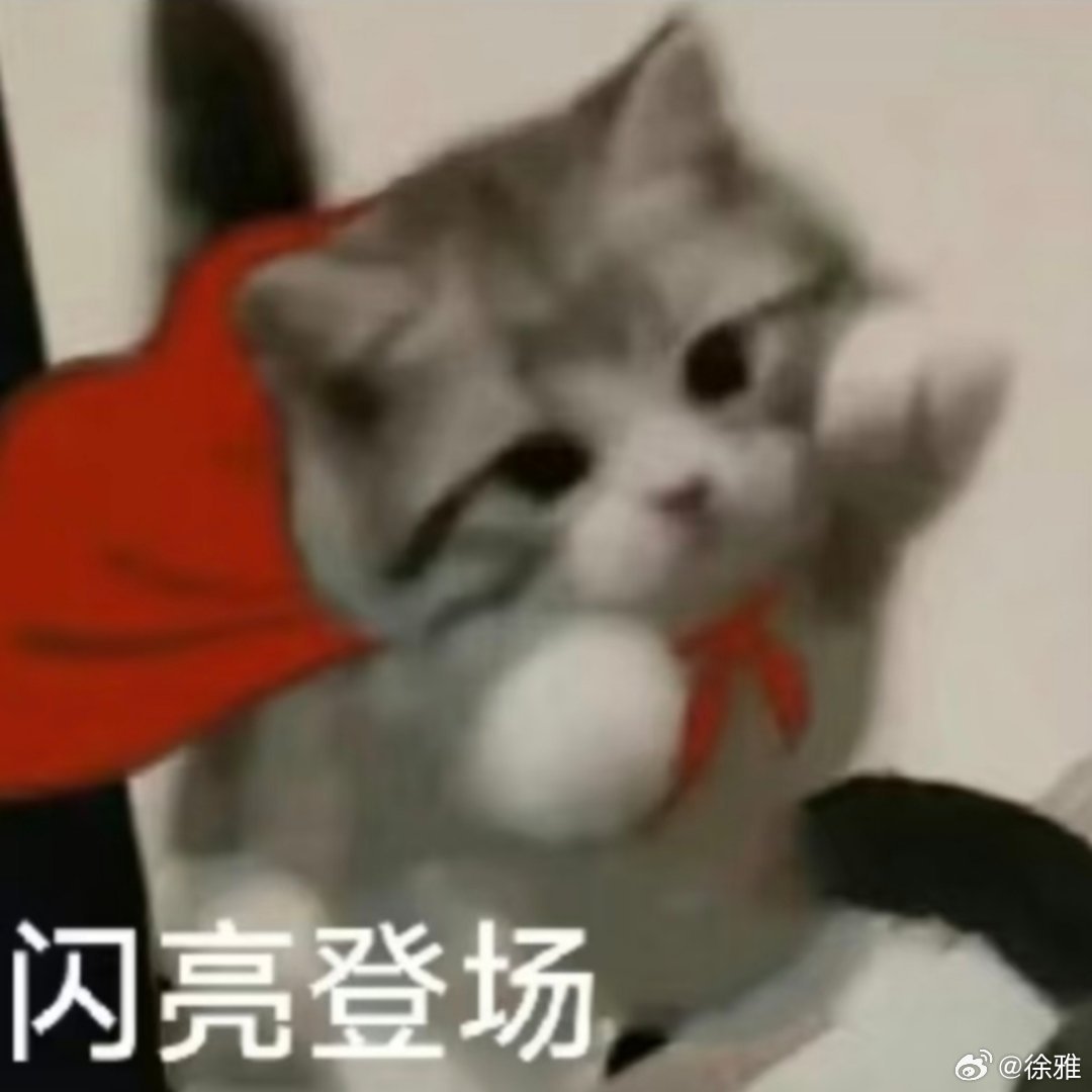 猫咪表情包。 