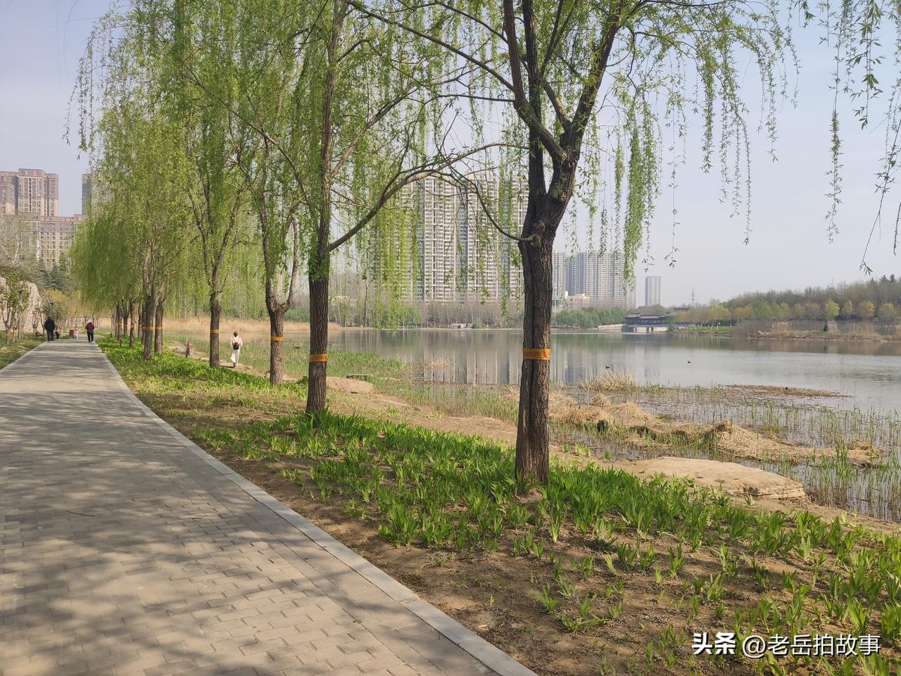 垃圾人出没:早上起来送小孩儿去幼儿园回来，在小区门口停车的时候，看到一个着装时髦