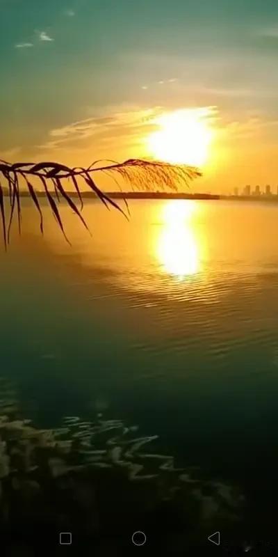 人到中年，别高估人情，别低估现实，少谈情怀多挣钱，生存才是硬道理中年心境感悟 中