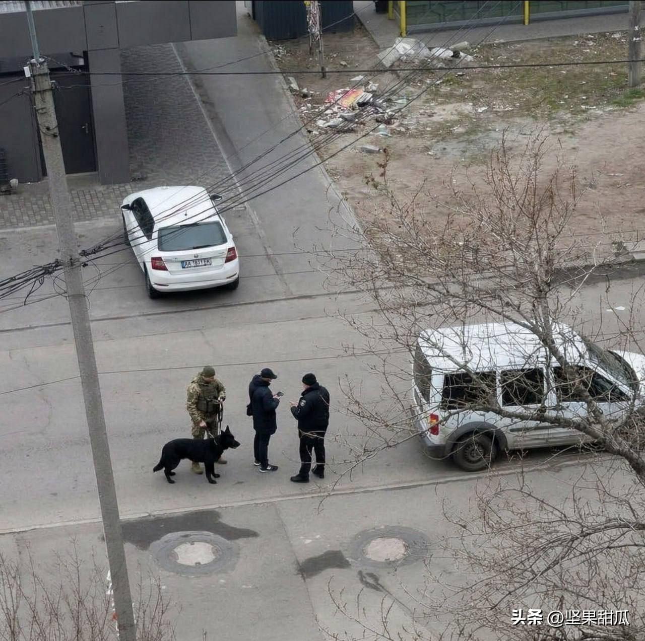 乌军征兵官学习德国人，第聂伯罗彼得罗夫斯克街头，征兵官带着狼犬在街头巡逻找人，这