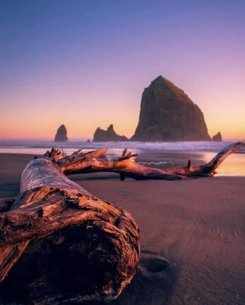 美国俄勒冈州加农海滩美景。
加州自然风光 美国东北部风光 海岸风光图片 波斯湾风