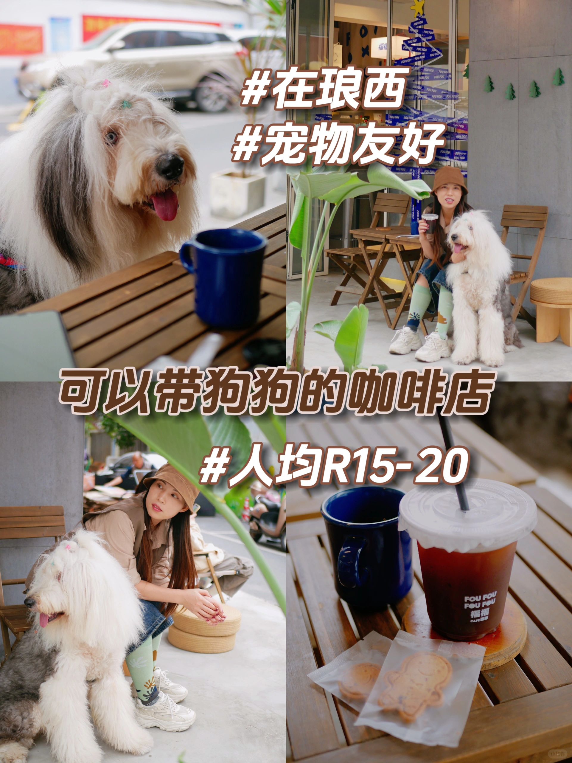 在琅西！又一家可以带大狗狗的咖啡店！