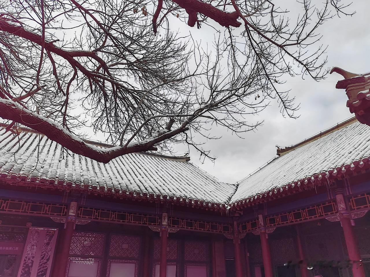 【今日大雪】大雪这节气在东北，有着独特的韵味与文化内涵。东北的大雪，常常是扬扬洒