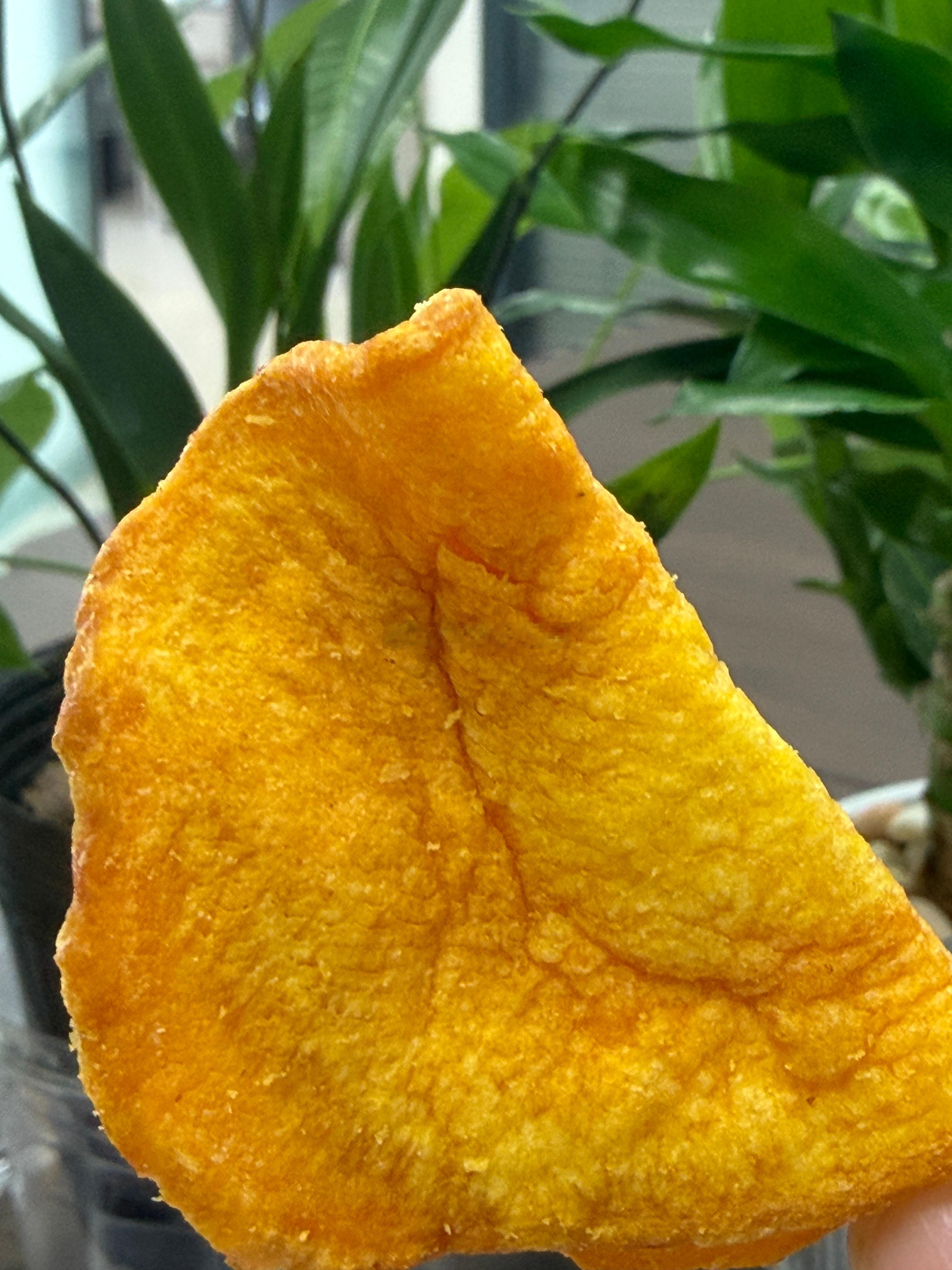 人这一生只需要三种爱好一种就是运动型爱好。不管是撸铁、爬山、游泳、还是打球，能量