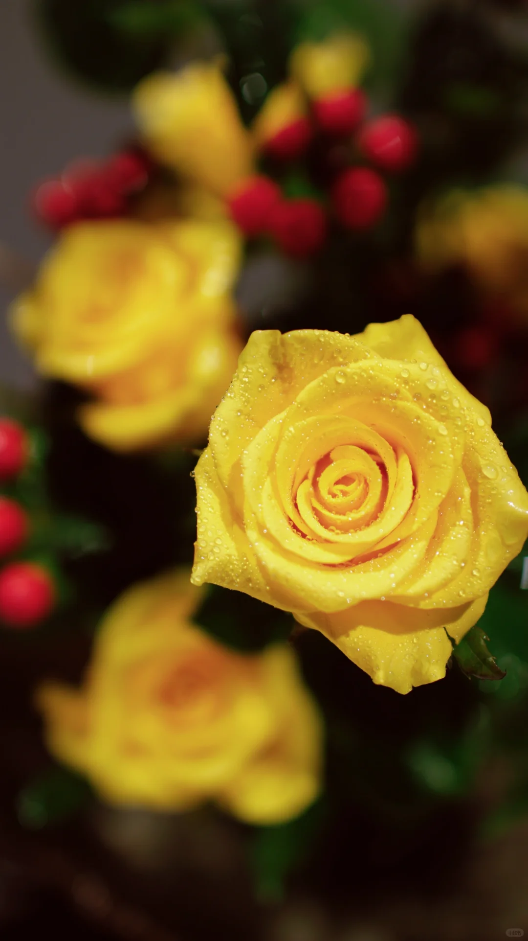 平淡日子 好在欢喜