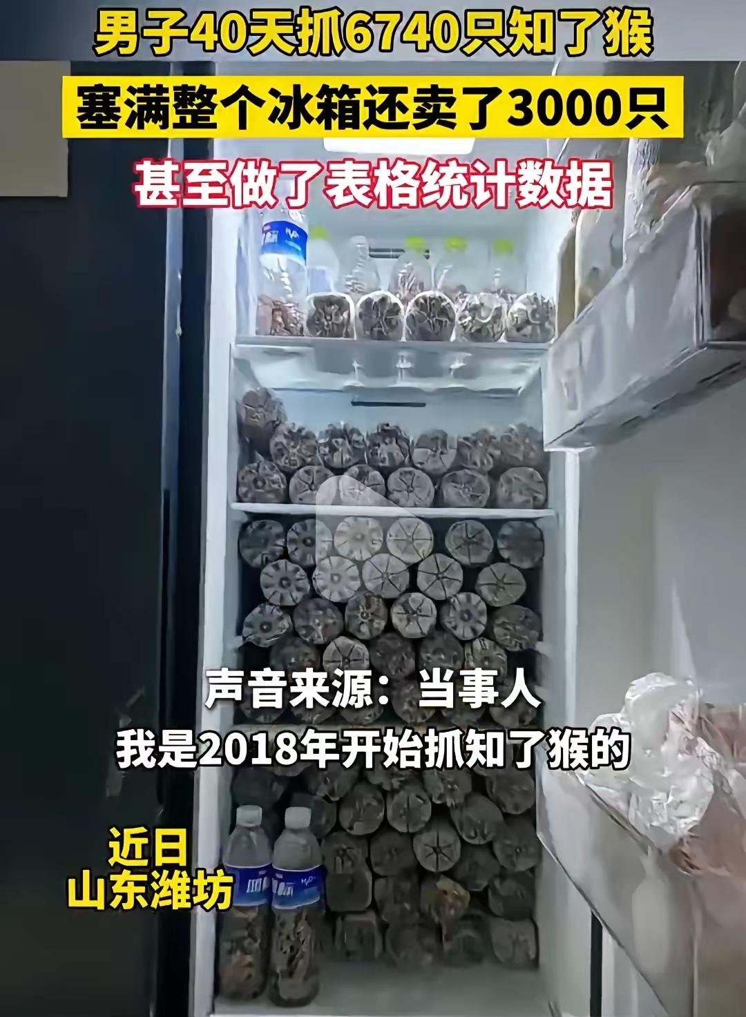 山东这个男子真是个狠人！
男子是山东潍坊的，从2018年开始就迷上了找知了猴，现