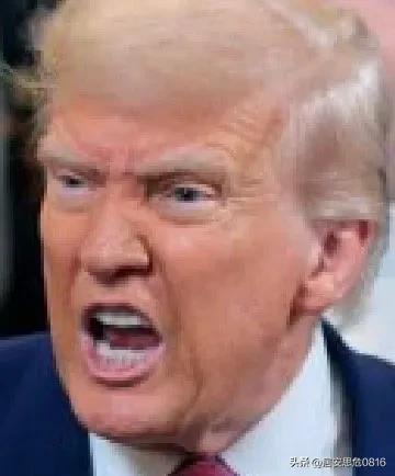 “我们应该留着她吗？”特朗普把忠诚的说谎者莱维特扔到公交车下，并将他糟糕的支持率