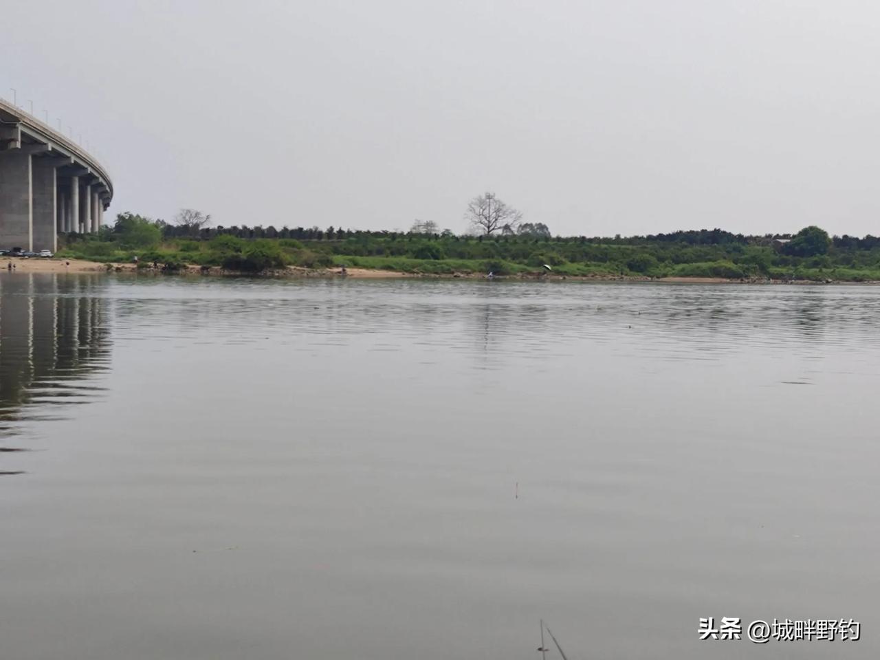 两江两岸人满为患，黄棒大师各占一半！
来东江钓鱼了！东江好钓鱼 东江钓鱼点推荐 