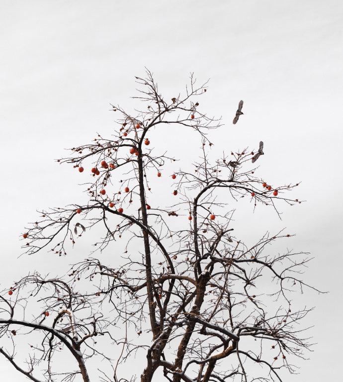 很欣慰，也很幸福，因为故宫初雪我家现哥不惧寒冷就去拍给我们看了初雪真的是全天下最