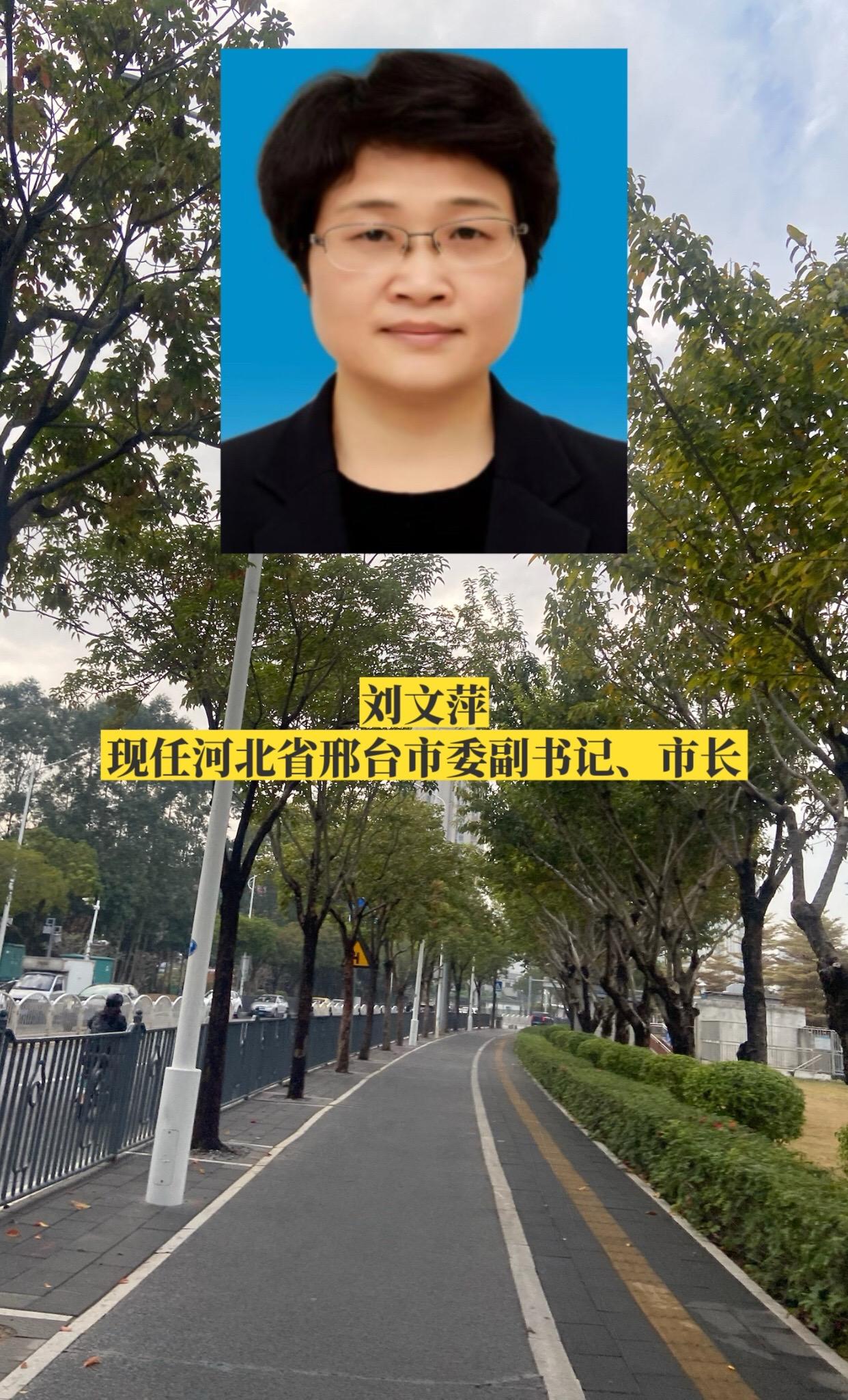 河北邢台市政府领导。