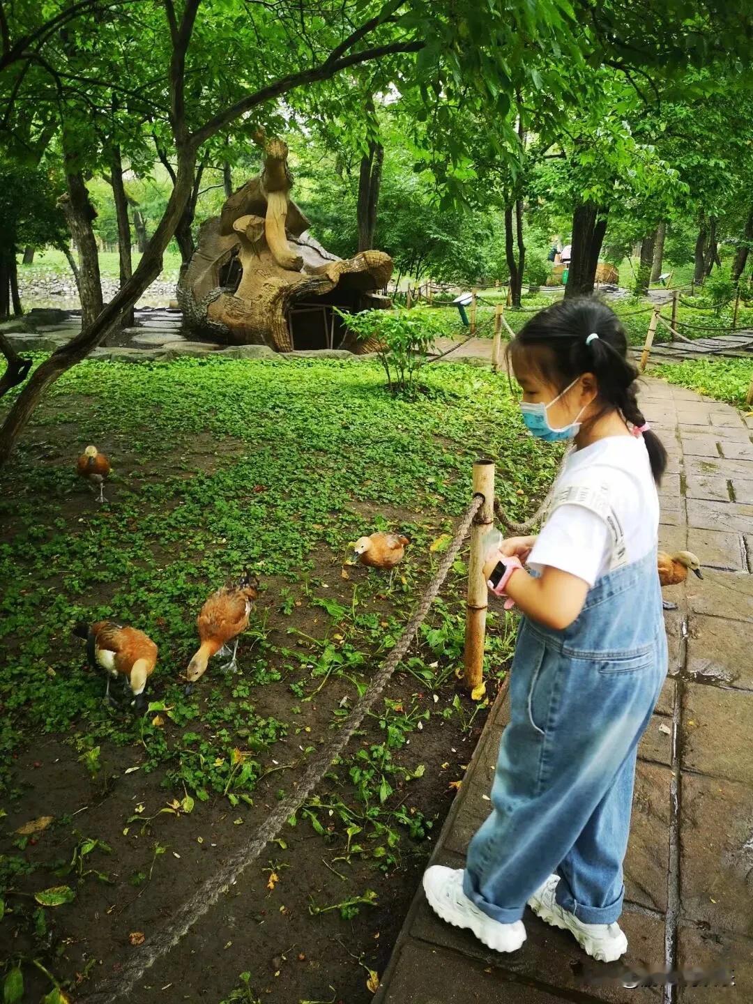 春日生活打卡季