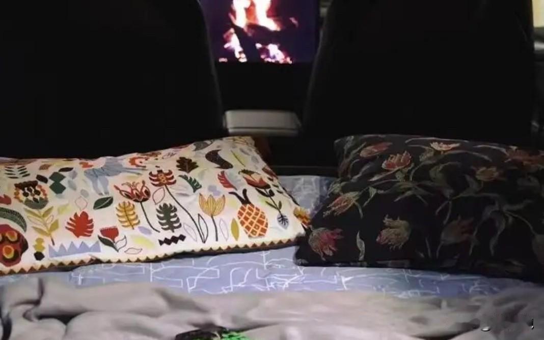 特斯拉的小憩模式听起来很美好——空调自动恒温、屏幕调暗、播放白噪音。但现实告诉你