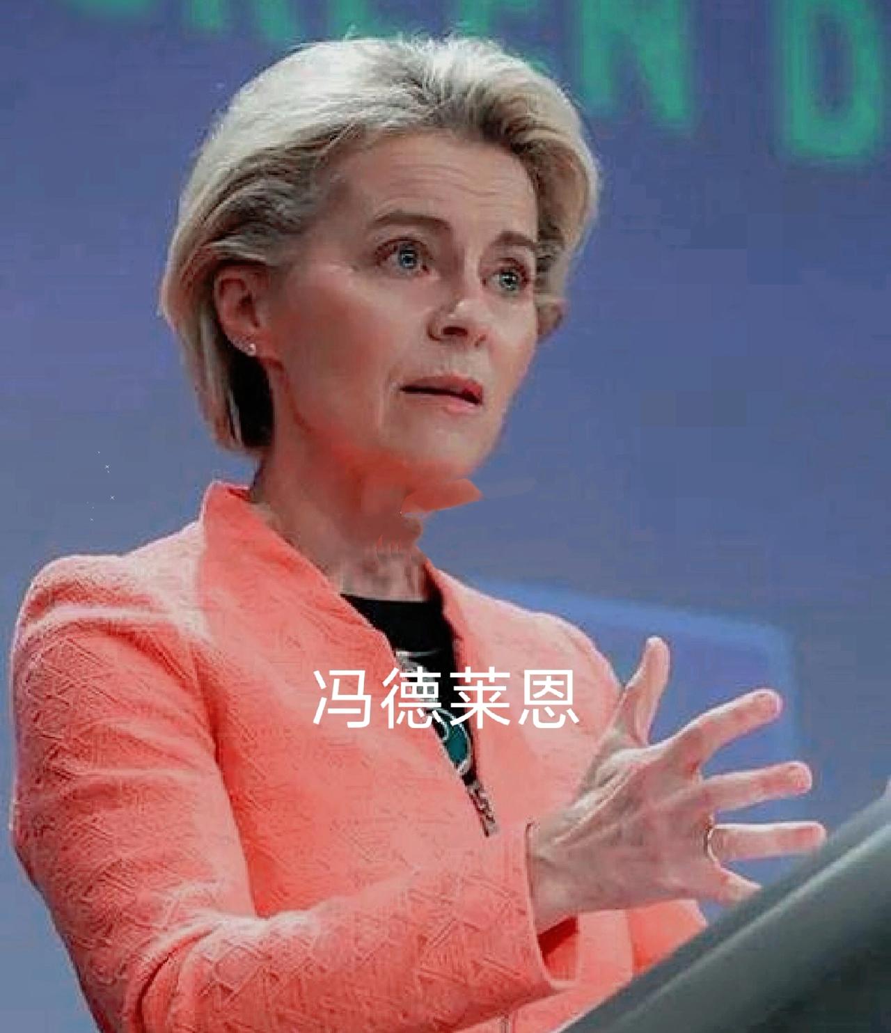 就在刚刚，欧盟主席冯德莱恩就“第三次世界大战”表态啦。
 
9 月 21 日她接