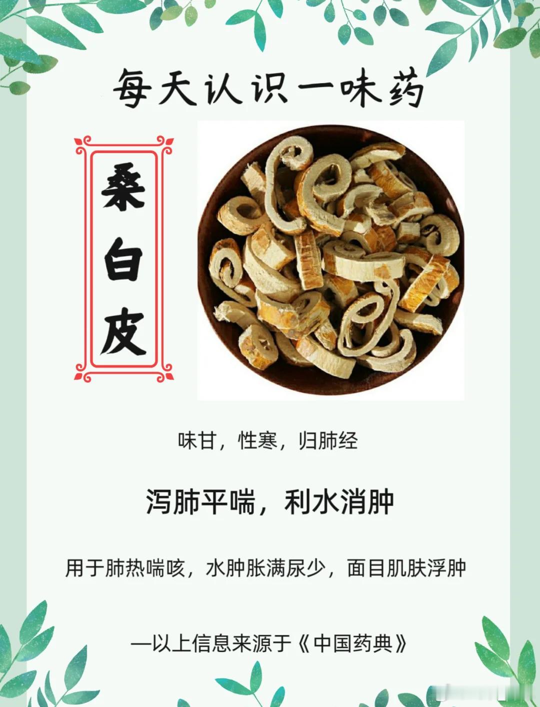 桑白皮：天地失序的调和者在中医药的浩瀚宝库中，桑白皮（桑科植物桑的根皮）长期被一