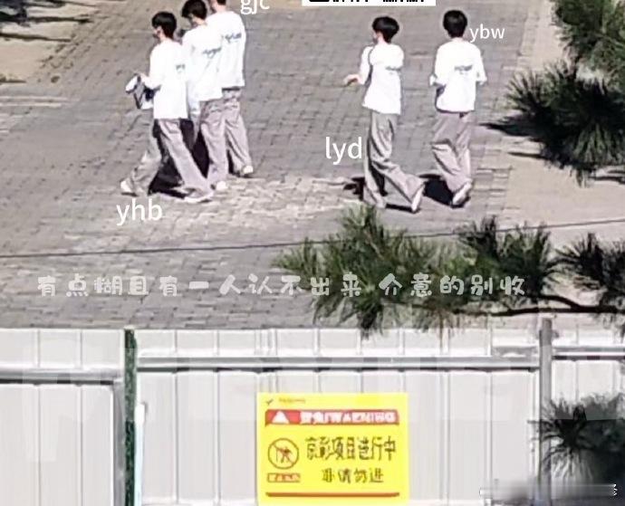 可以拍vivo增倍镜广告的程度了 