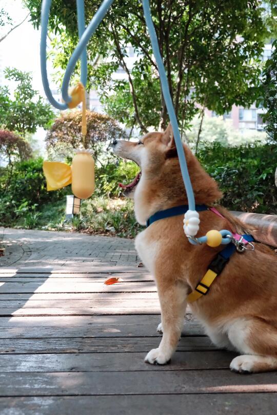 就要一口把你吃掉！