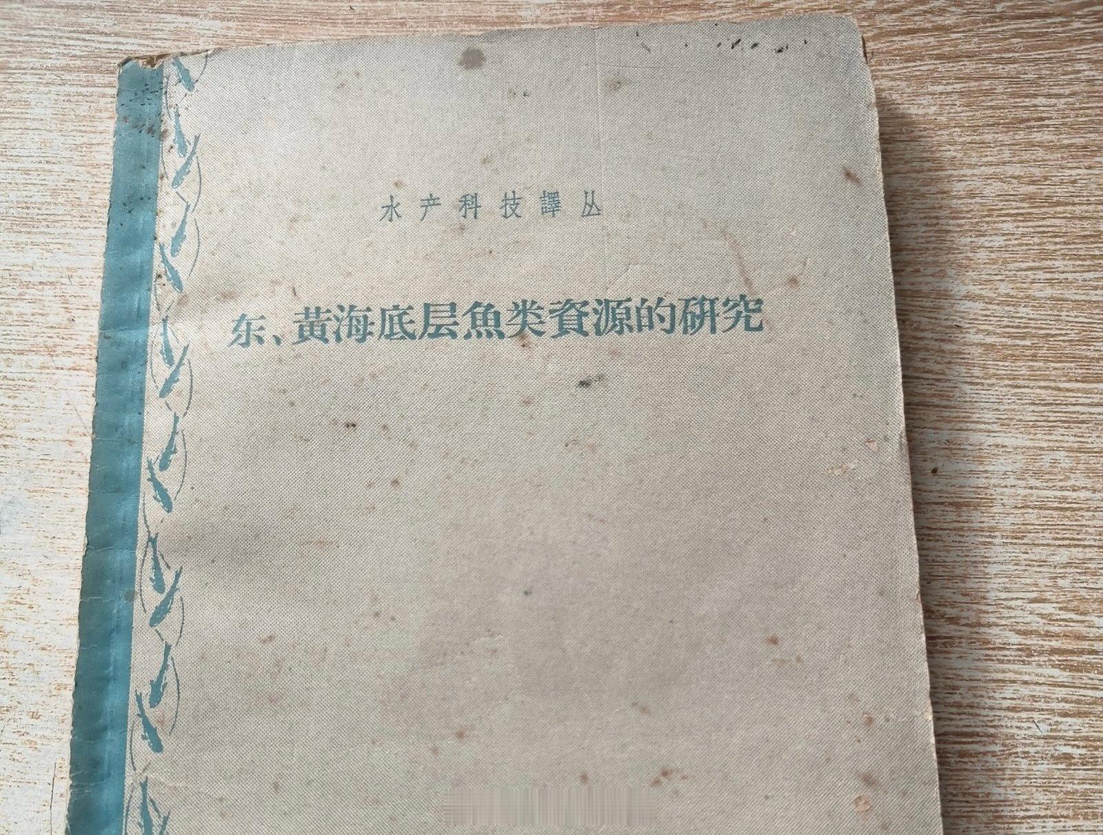 黄海的红娘鱼去哪了？红娘鱼和绿鳍鱼粗看比较相似，最明显的区别是红娘鱼具有尖锐的吻