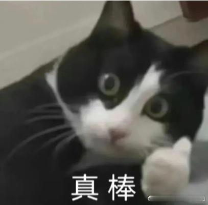 董路直言中国孩子跟日本孩子有很大差异 董路说有些差距一时补不上，这话听着有点扎心