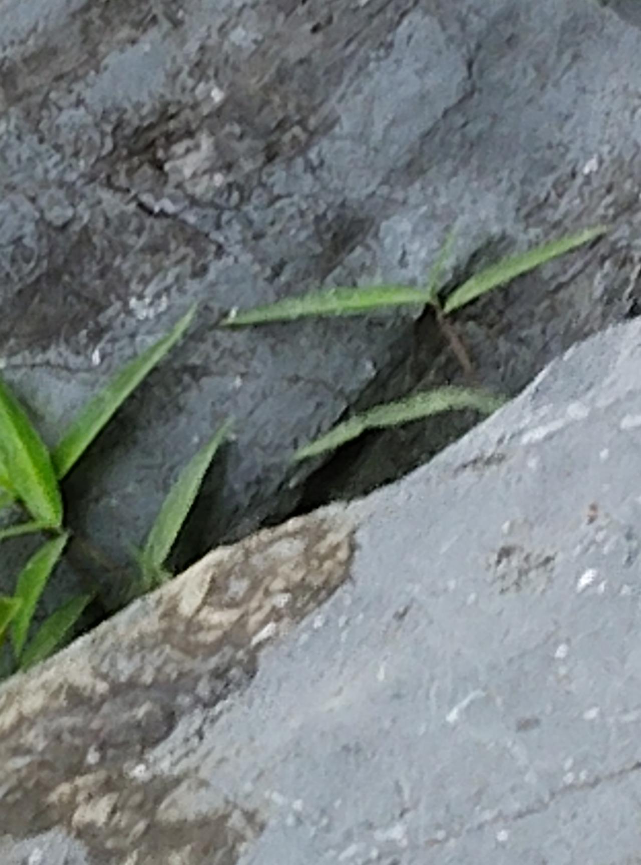 小时候我最喜欢坐在家里的青石门槛上，尤其是夏天，青石门槛上特别凉爽，有时候还看到