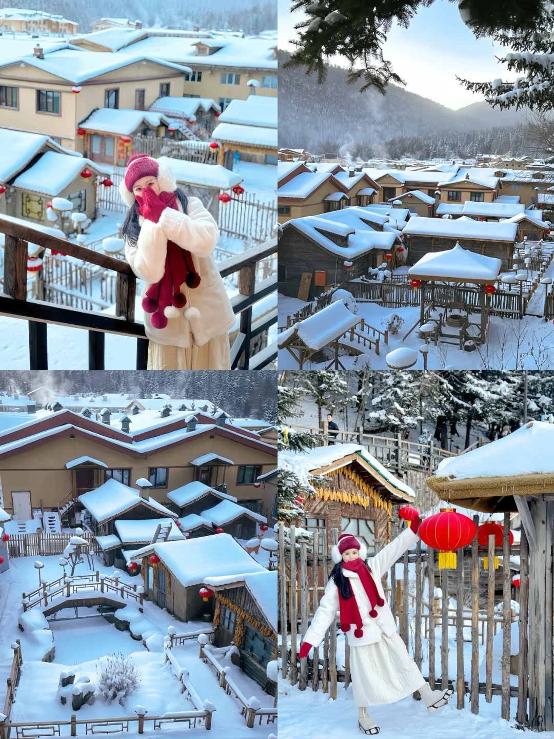 清晨雪乡拍照的绝佳机位｜遇到现实版狗熊岭