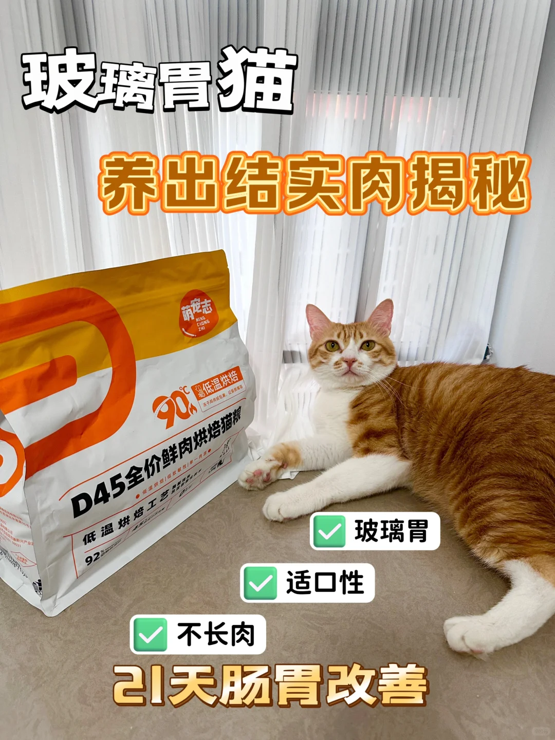 玻璃胃猫咪怎么长出结实肉？
