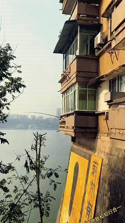 重庆望江，近水楼台先钓鱼。
 

他就从屋里头把几根杆子伸出去，一天到晚听着铃铛