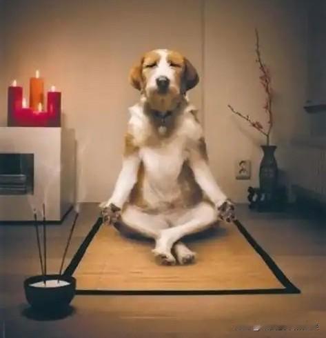 上午10:24，节前大概就是现在这个节奏了！早盘运行了一个小时，上证指数窄幅波动