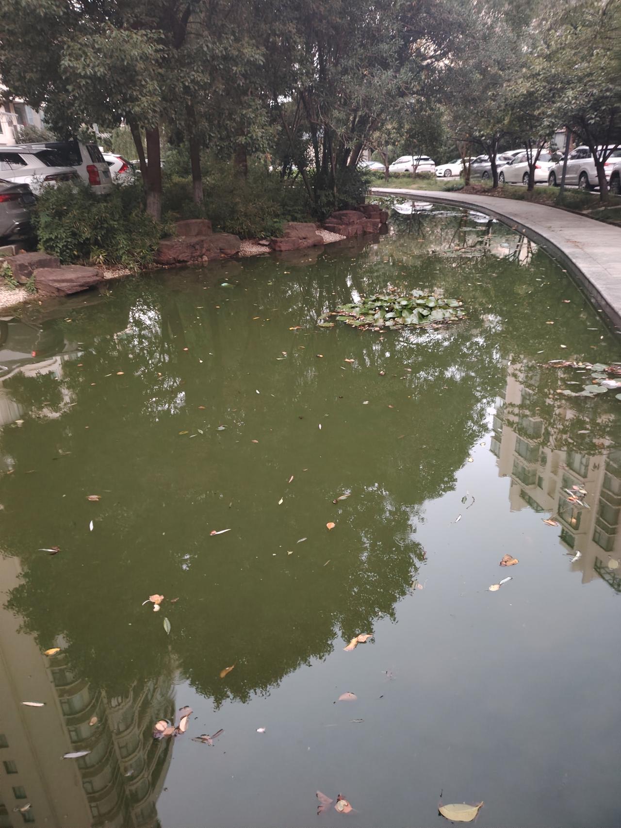 湖南，54岁男子酒后欲与48岁情人发生关系，却发现情人家中卧室还藏有一名男子！男