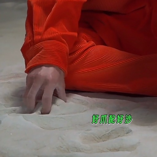 爪 ​​​
