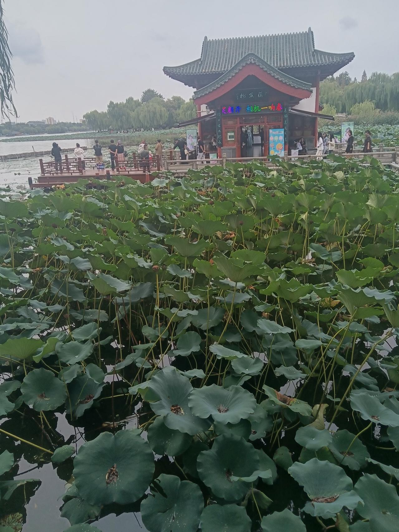 😄，这钱不是给我的，是给整个家庭的。别人家可能是6000，8000，或1w呢。