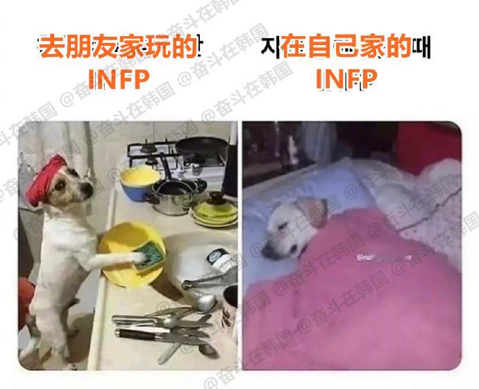 INFP的双标现场哈哈哈哈  海外新鲜事 热点现场
