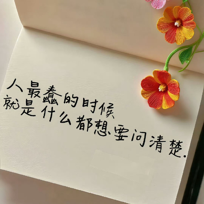 🌿 𝙇𝙞𝙫𝙚 𝙎𝙡𝙤𝙬人性最大的丑恶：恨你有，笑你无，嫌你穷，