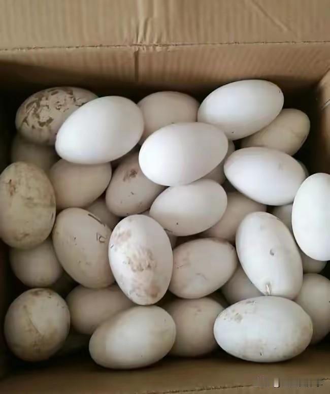 闺蜜家卖鹅蛋，我说给我装30个吧，装完我去扫码，闺蜜说扫210元就行，说7块一个