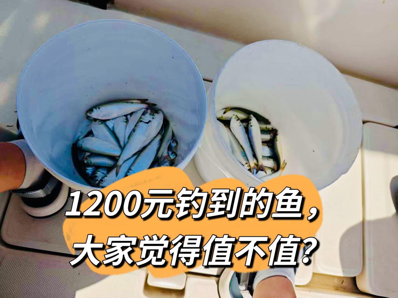 花了1200块包了船，
专门海钓的。

老公和他哥们，四个人兴冲冲地去钓鱼了！