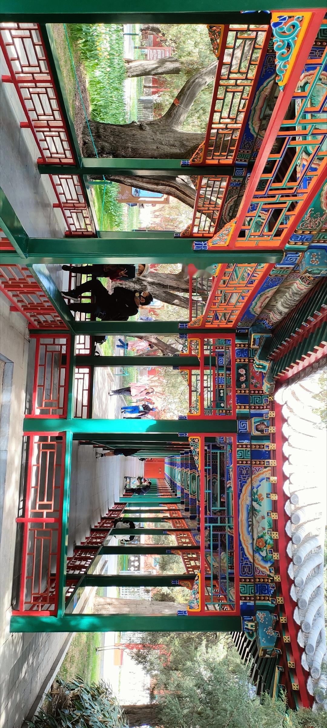 色彩斑斓的廊道，传统与自然的完美融合。