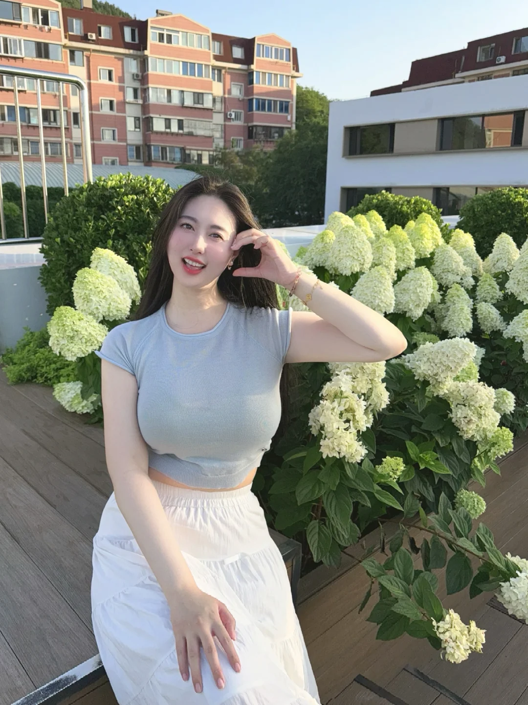 绣球花拍照