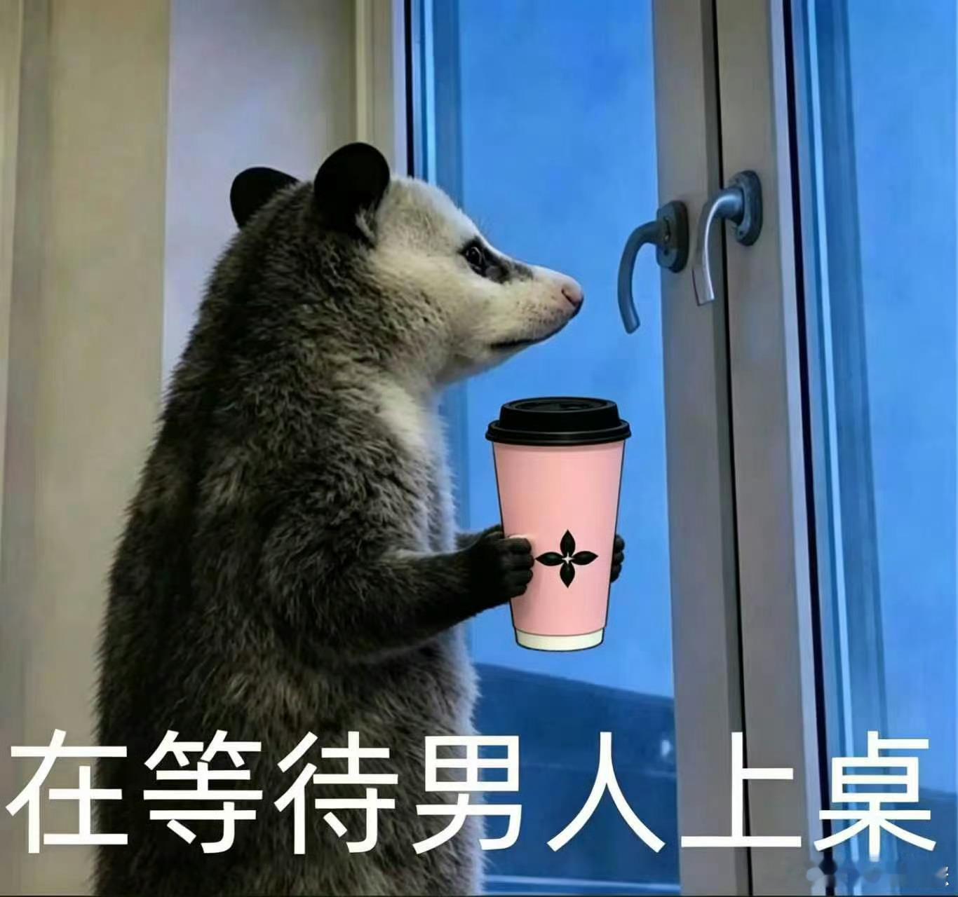 严肃品鉴恋与深空黑色战衣奶茶 恋与深空和茉莉奶白的联名太懂玩家了，黑色战衣主题包