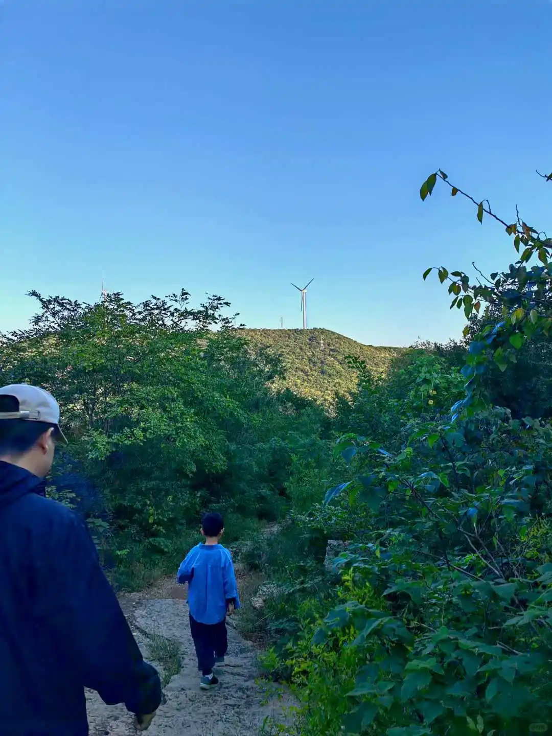 建议大家尽早梳理一套自己生活的SOP