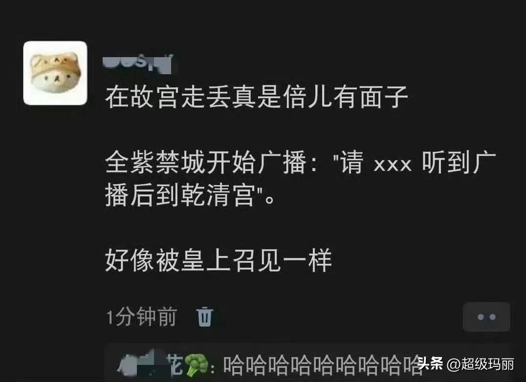 上次走丢一个小女孩，广播说的是请xx公主到太和殿哈哈哈……故宫