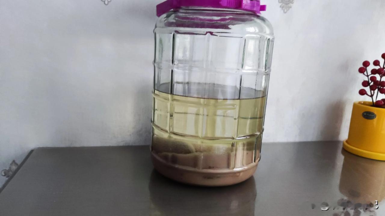 都说鹿茸泡酒能大补
去年有人给了一根鹿茸，有点血迹斑斑的，按照比例，买了四斤酒头